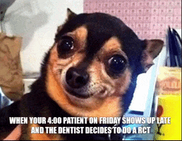 Friday GIF