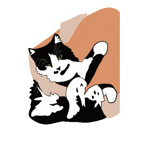 Cat Sticker