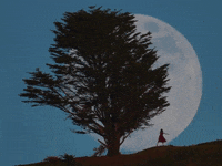 Moon-rise GIFs - Get the best GIF on GIPHY