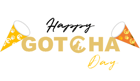gotcha day dog