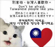 Twtwtw Dont Be Afraid GIF