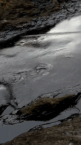 Oil Spill Water GIF by PK Produkter