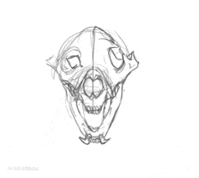 Art Digital Headshot Wolf Flame GIF