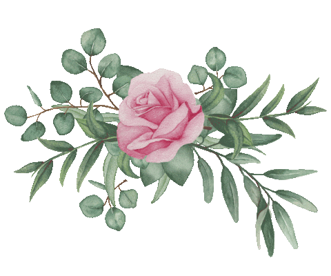 Aesthetic Flowers Gif Aesthetic Flowers Gif