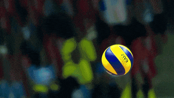 Power Hit GIF by Volleyball World