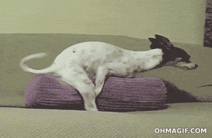 200_s.gif