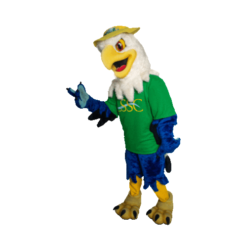 Lake-Sumter State College Sticker