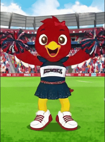 Redwings GIF by soyliceo