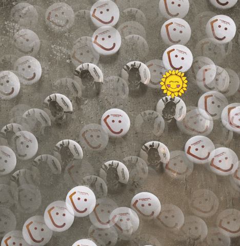 FOODSTOCK BRATISLAVA GIF