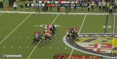 cincinnati bengals