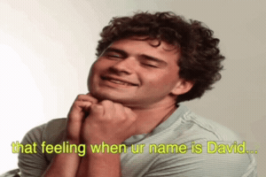 David Insta GIF