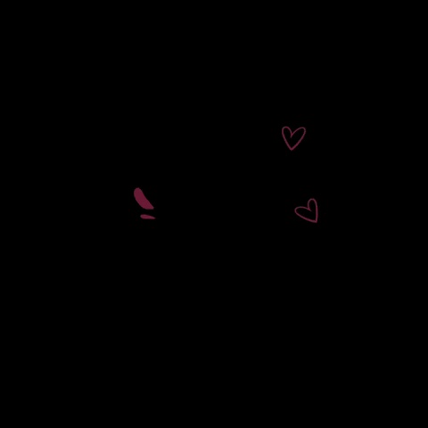 GIF by Porto do Sabor