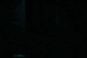 merry  GIF