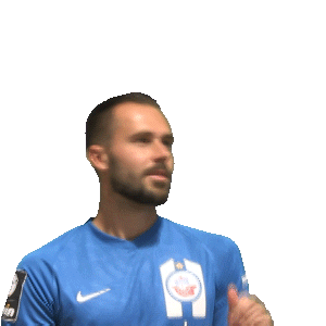 Hansa Inklusion Sticker