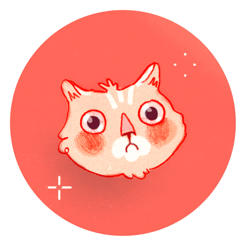 Cat What GIF by Valérie Boivin