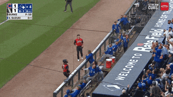 Chicago Cubs Baseball GIF