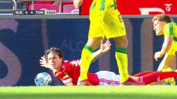 Come On What GIF by Sport Lisboa e Benfica