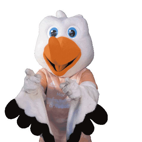 Holland Jij Sticker by OranjeHockey