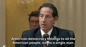 January 6 Democracy GIF by GIPHY News
