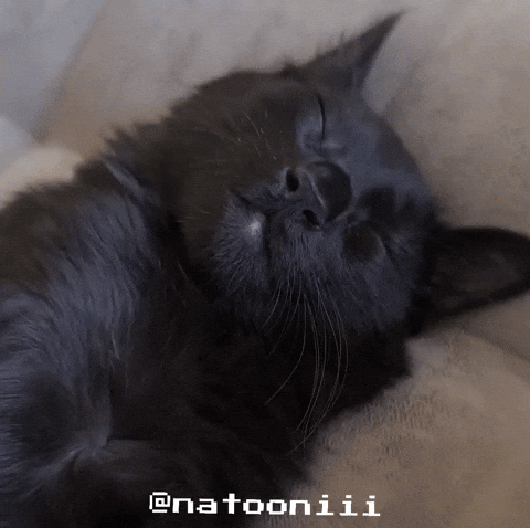 Natooniii GIF