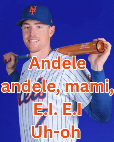 Lets Go Mets GIF