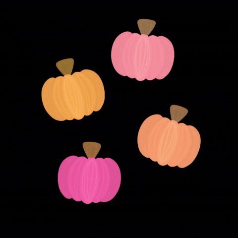 Pumpkin Patch Pink GIF