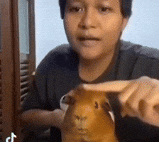 Confused Stan Twitter GIF