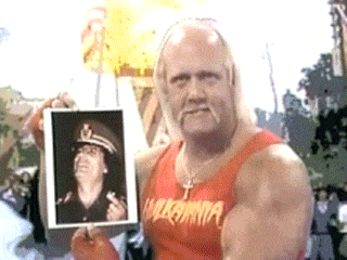 hulk hogan
