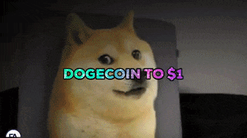 Bitcoin Doge GIF by Forallcrypto