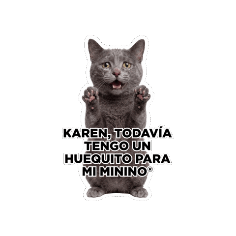 Sticker by Minino Plus®