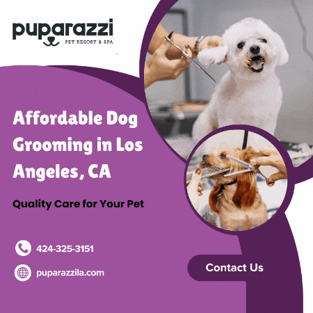 Dog Grooming Los Angeles GIF