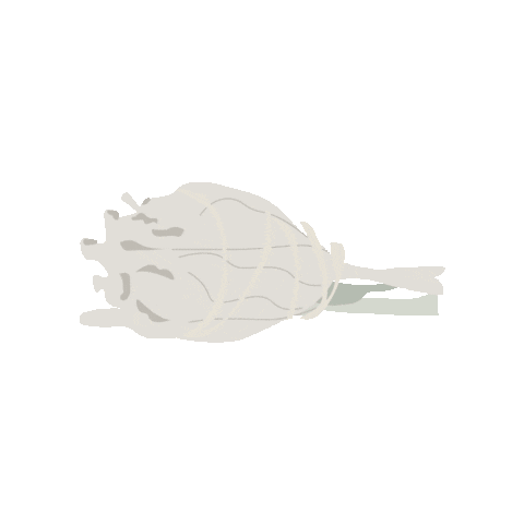 Meditating Palo Santo Sticker for iOS & Android | GIPHY