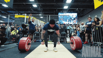 Yell Bench Press GIF by Animalpak