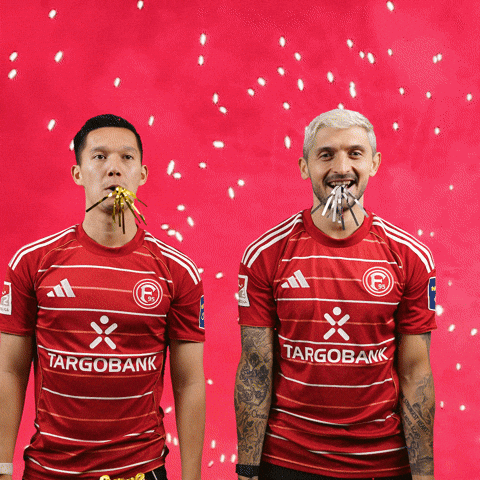 F95 Sylvester GIF by Fortuna Düsseldorf