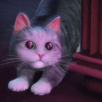 Cat Angry GIF - Cat Angry - Discover & Share GIFs