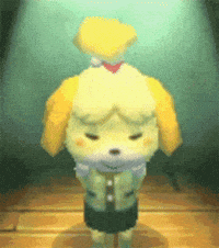 america crossing GIF