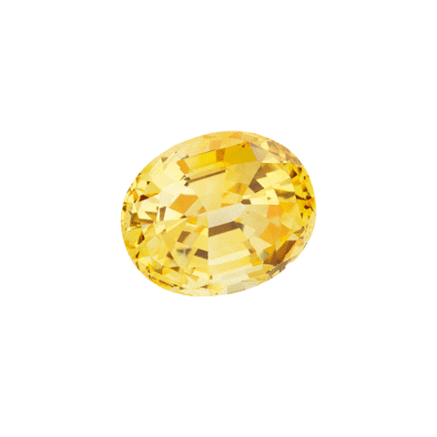 Katerina Perez Sticker