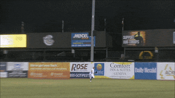 minor leagues baseball GIF by Kane County Cougars