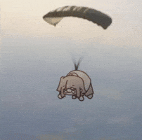 Sky Flying GIF
