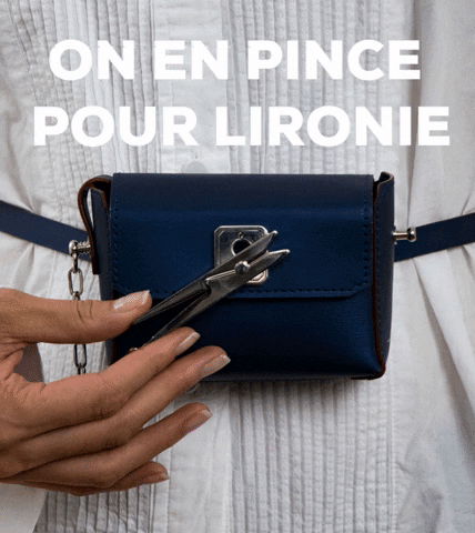 lironie_sl fashion bag bags inlove GIF
