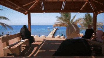 Video Sea GIF by TheFactory.video