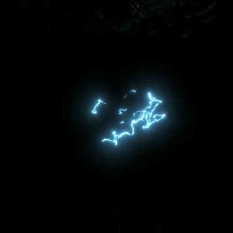Reaction GIF