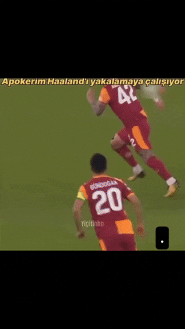 Haaland GIF