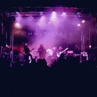 200.gif?cid=fc005b0801bd625f64d5675a2e7ce83feb3752a1be80ff07&rid=200.gif&ct=g