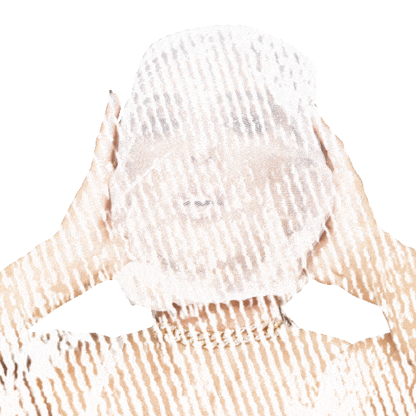L E X Sticker