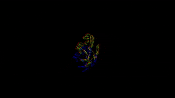 GohmSingenFerrari GIF