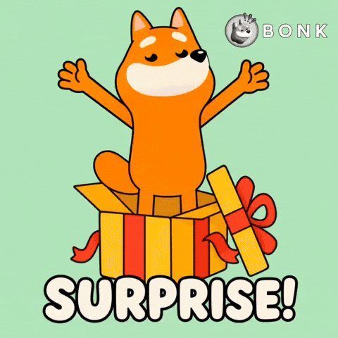 Crypto Wow GIF by BONK