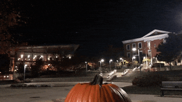 Halloween Pumpkin GIF by The University of Akron