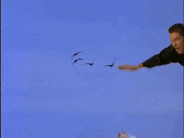 default  GIF