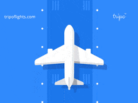 Flights GIFs - Get the best GIF on GIPHY
